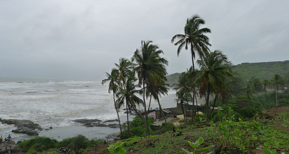 Photo of Best Places in India to visit this Monsoon 3/4 by Pragmatic Traveller