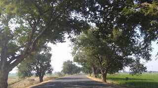 Photo of The rocky splendor of Rayalaseema 10/26 by Vasu Dev