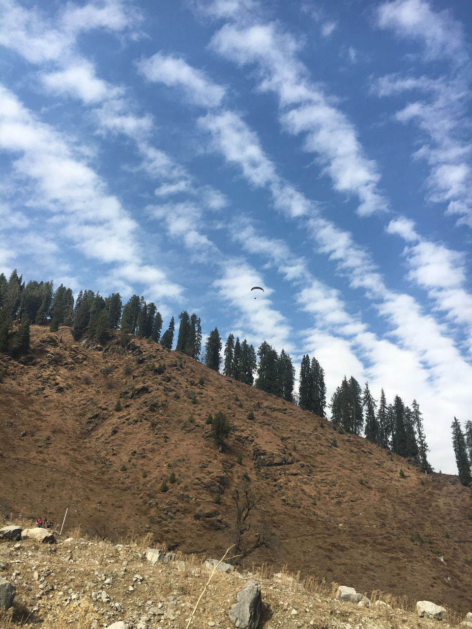 Photo of The Hilly Manali by Travel Maniac