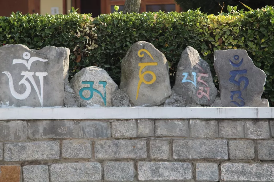 Photo of The Hilly Manali by Travel Maniac