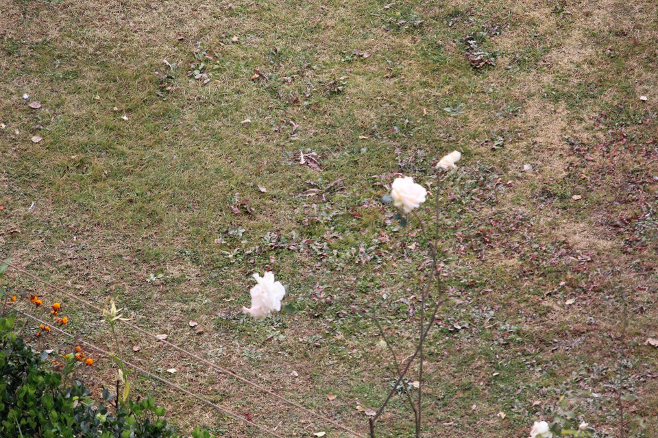 Photo of The Hilly Manali by Travel Maniac