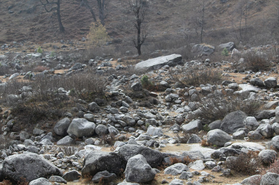 Photo of The Hilly Manali by Travel Maniac