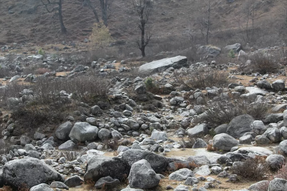Photo of The Hilly Manali by Travel Maniac