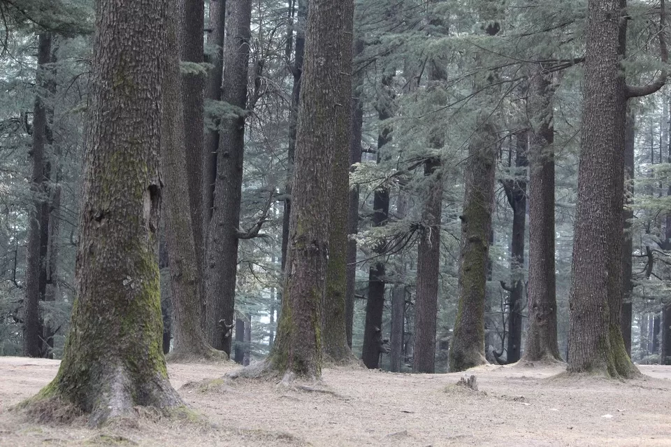Photo of The Hilly Manali by Travel Maniac