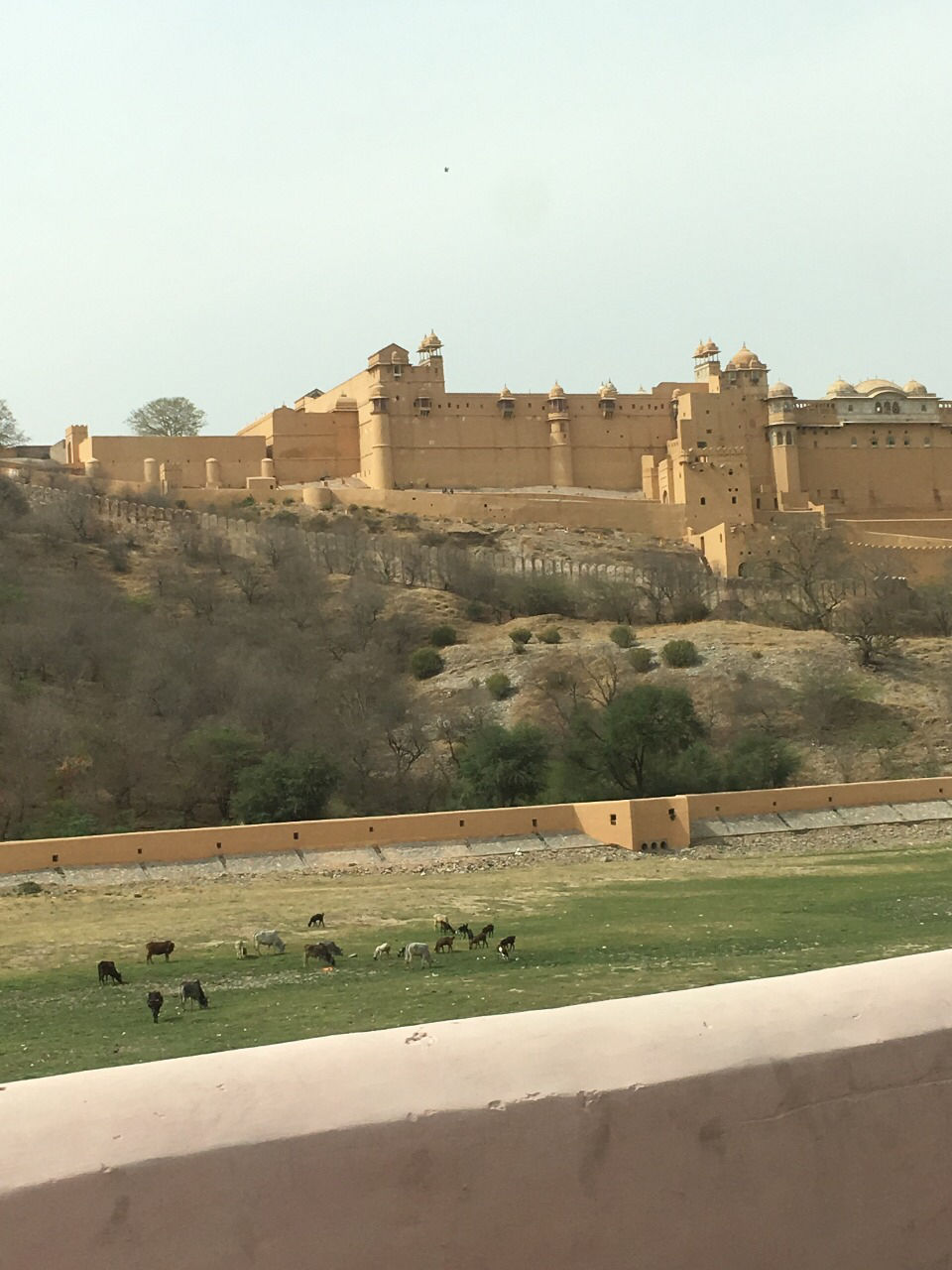 Photo of India’s Own ‘Pink City’ by Travel Maniac