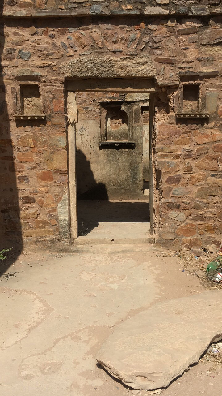 Photo of India’s Own ‘Pink City’ by Travel Maniac