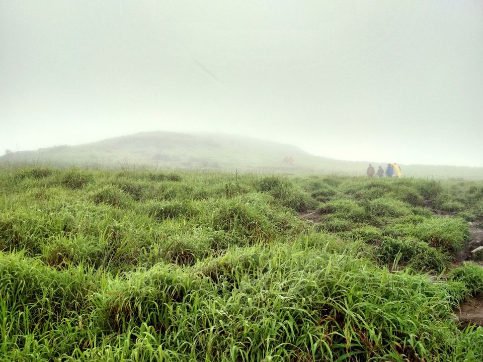 Photo of Kudremukh Trek: Passing 7 Milestones To Reach The Land Amid The Clouds 3/38 by Sheeba Kaul
