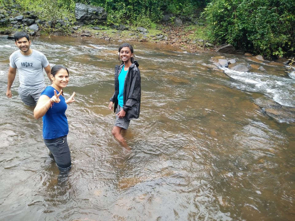 Photo of Kudremukh Trek: Passing 7 Milestones To Reach The Land Amid The Clouds 33/38 by Sheeba Kaul