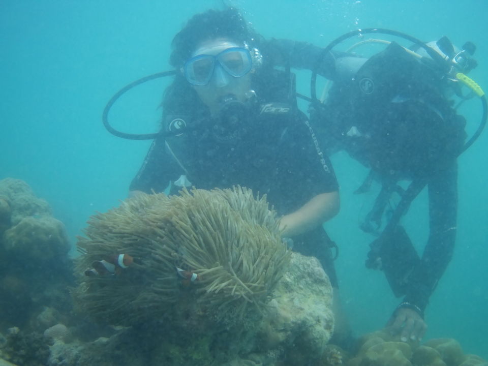 Photo of Breathing Underwater: My Very First Scuba Diving Experience In Andaman Islands by Sheeba Kaul