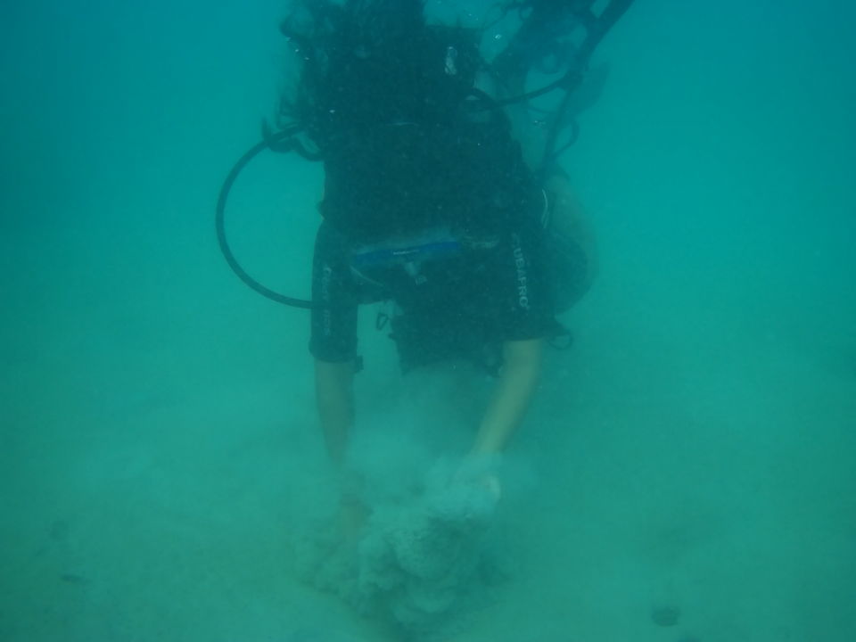 Photo of Breathing Underwater: My Very First Scuba Diving Experience In Andaman Islands by Sheeba Kaul