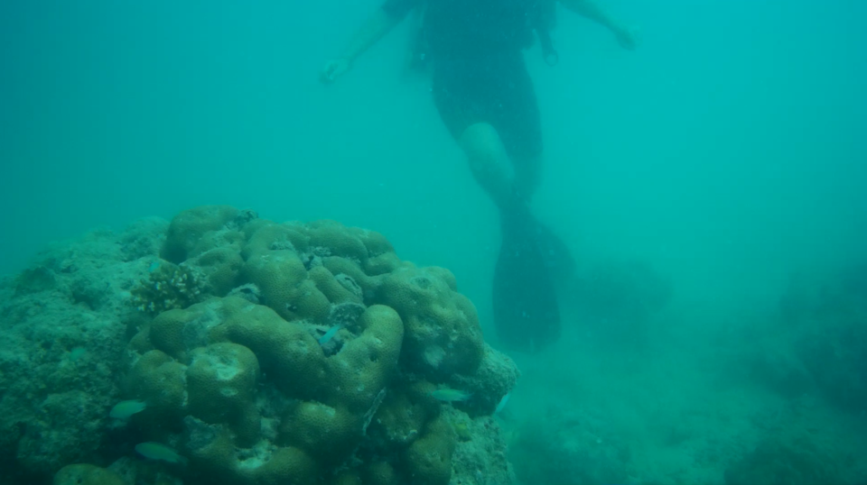 Photo of Breathing Underwater: My Very First Scuba Diving Experience In Andaman Islands by Sheeba Kaul