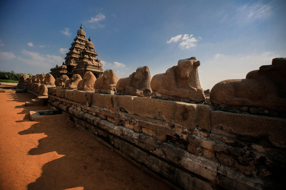 Photo of Glimpses of an Era - Mahabalipuram by Niviya Vas