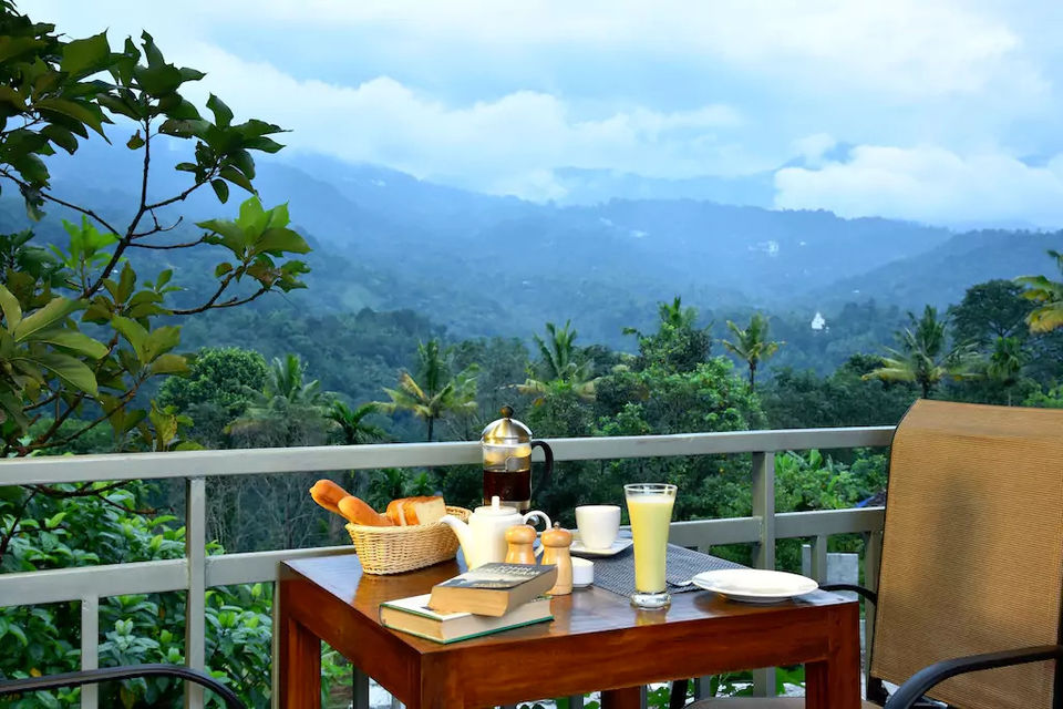 Photo of Munnar, Kerala, India by Sam
