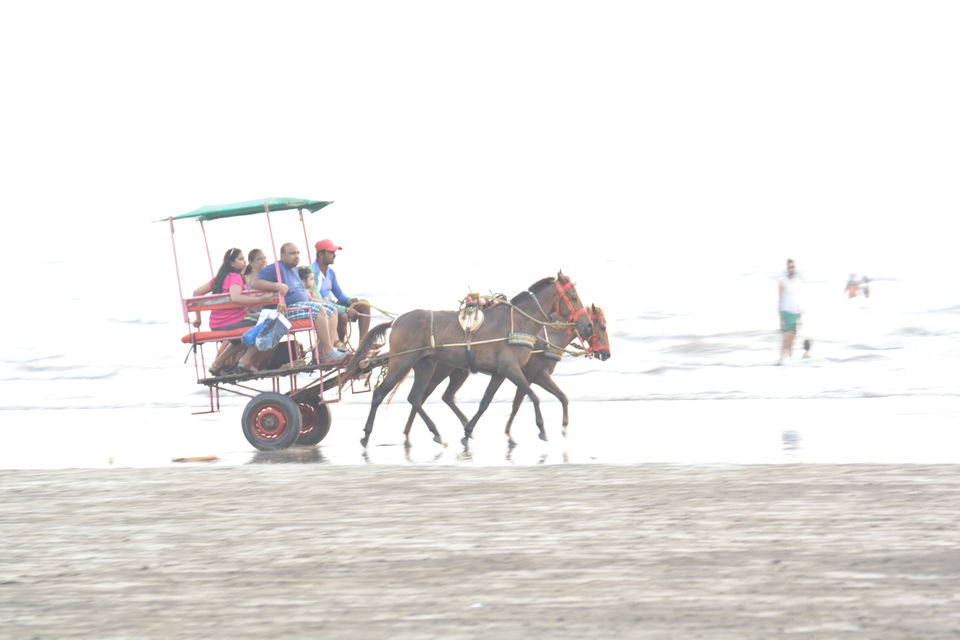 Photo of Exploring The Beauty Of Konkan 11/22 by Vinayak Ganji