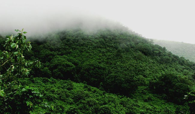 Photo of Travel guide to Daringbadi, Kashmir of Odisha. 6/6 by Hotel Bivab