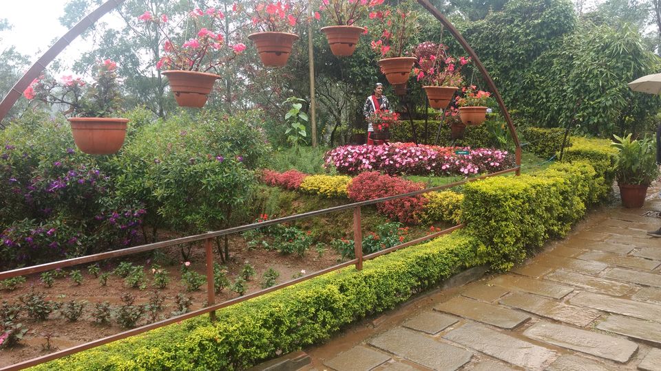 Photo of Kerala - God's Own Country In Monsoon 3/28 by P. Sharma