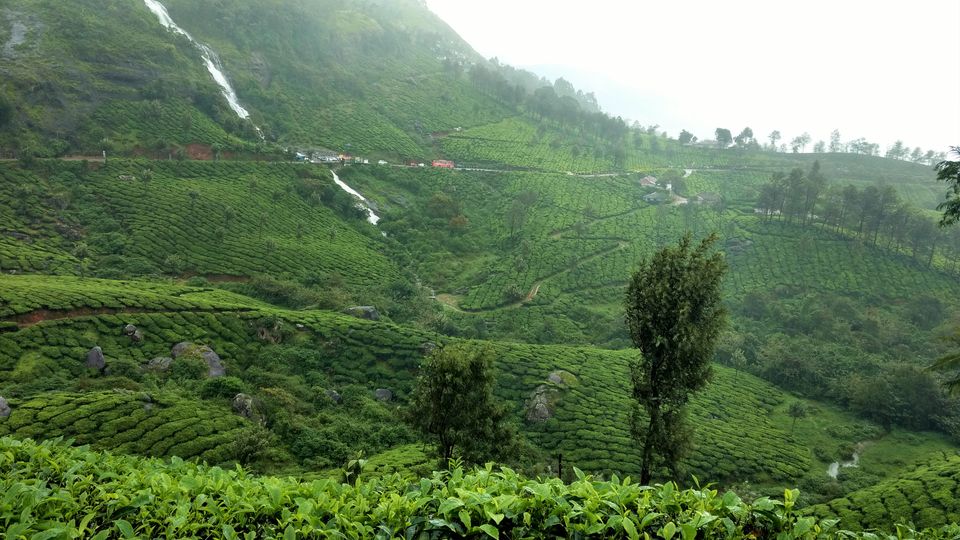 Photo of Kerala - God's Own Country In Monsoon 9/28 by P. Sharma