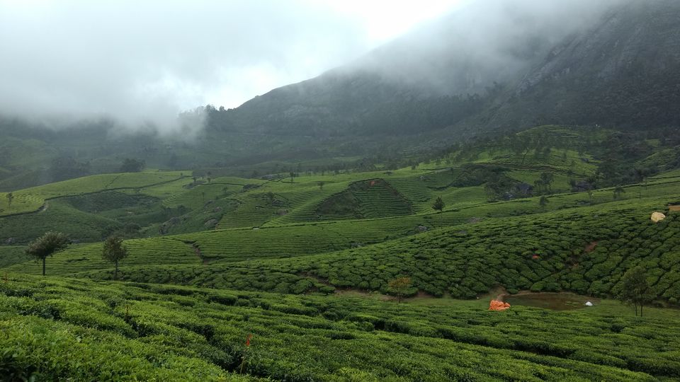 Photo of Kerala - God's Own Country In Monsoon 10/28 by P. Sharma