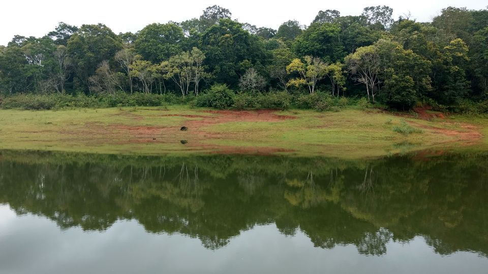 Photo of Kerala - God's Own Country In Monsoon 16/28 by P. Sharma