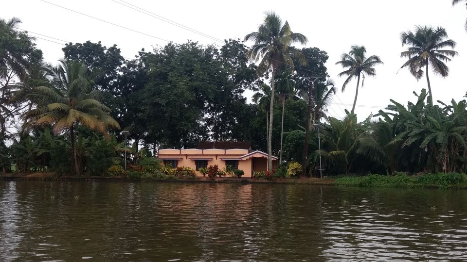 Photo of Kerala - God's Own Country In Monsoon 21/28 by P. Sharma
