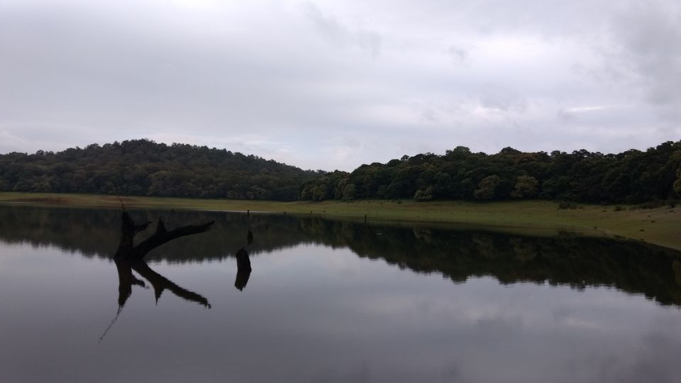 Photo of Kerala - God's Own Country In Monsoon 17/28 by P. Sharma