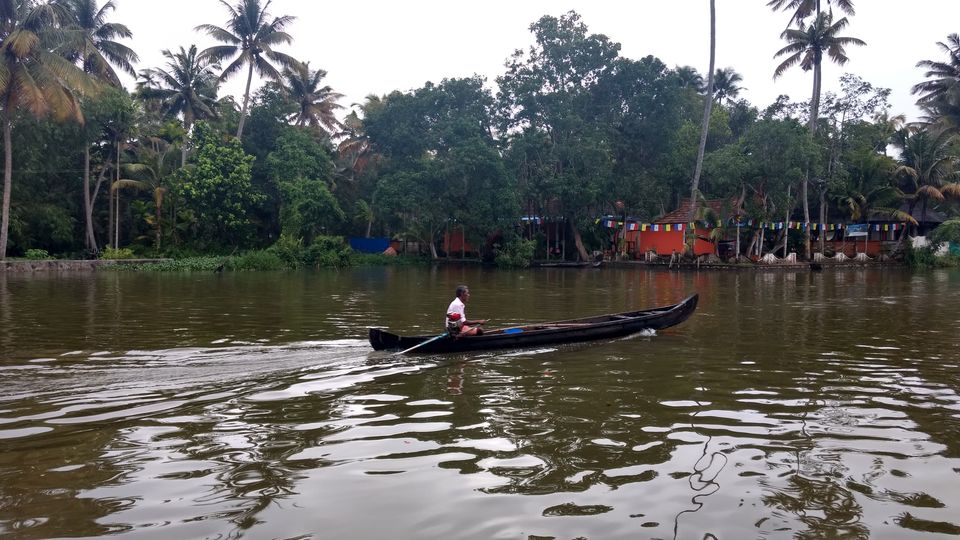 Photo of Kerala - God's Own Country In Monsoon 19/28 by P. Sharma