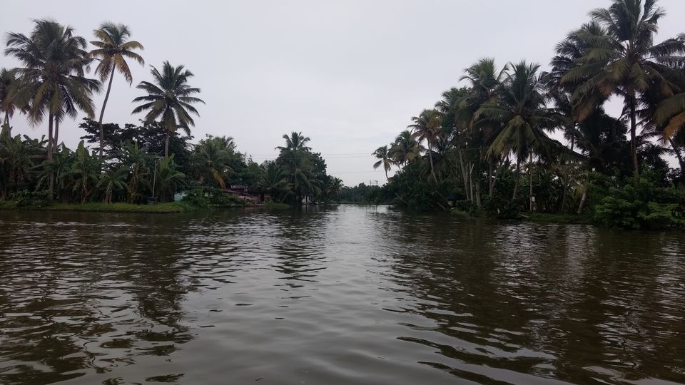 Photo of Kerala - God's Own Country In Monsoon 20/28 by P. Sharma