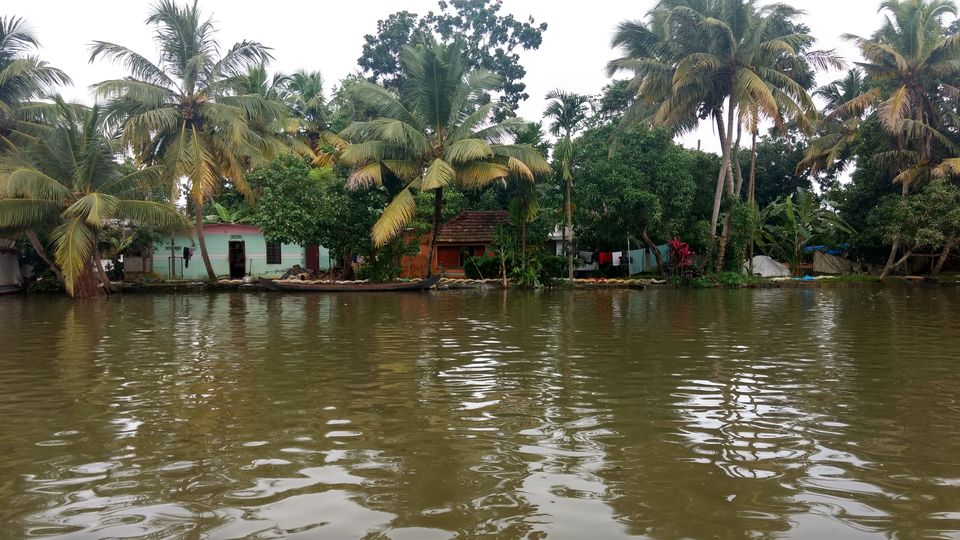 Photo of Kerala - God's Own Country In Monsoon 23/28 by P. Sharma