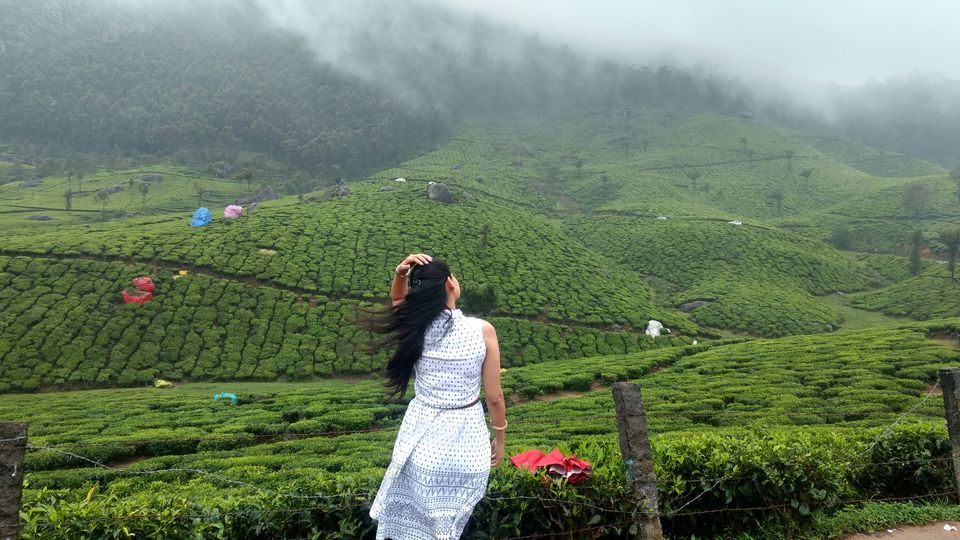 Photo of Kerala - God's Own Country In Monsoon by P. Sharma