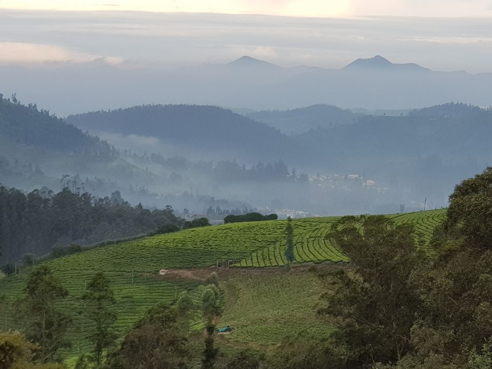 Photo of The Surreal Beauty in Ooty by Jaishree