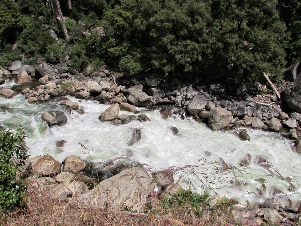 Photo of Yosemite National Park - A Haven for Nature Lovers. 1/20 by Jaishree