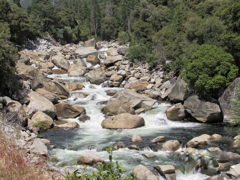 Photo of Yosemite National Park - A Haven for Nature Lovers. 4/20 by Jaishree