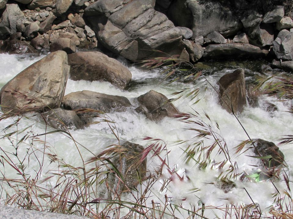 Photo of Yosemite National Park - A Haven for Nature Lovers. 5/20 by Jaishree