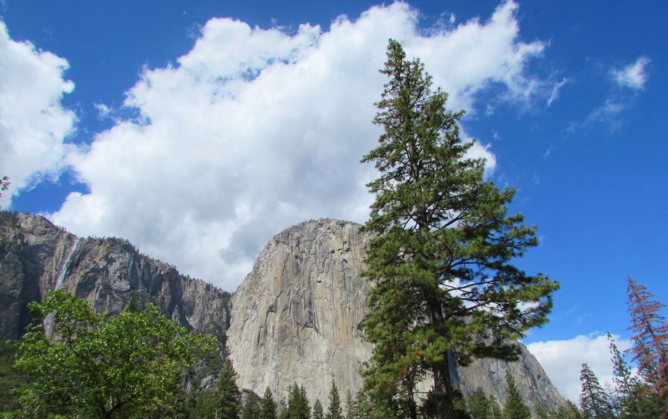 Photo of Yosemite National Park - A Haven for Nature Lovers. 6/20 by Jaishree