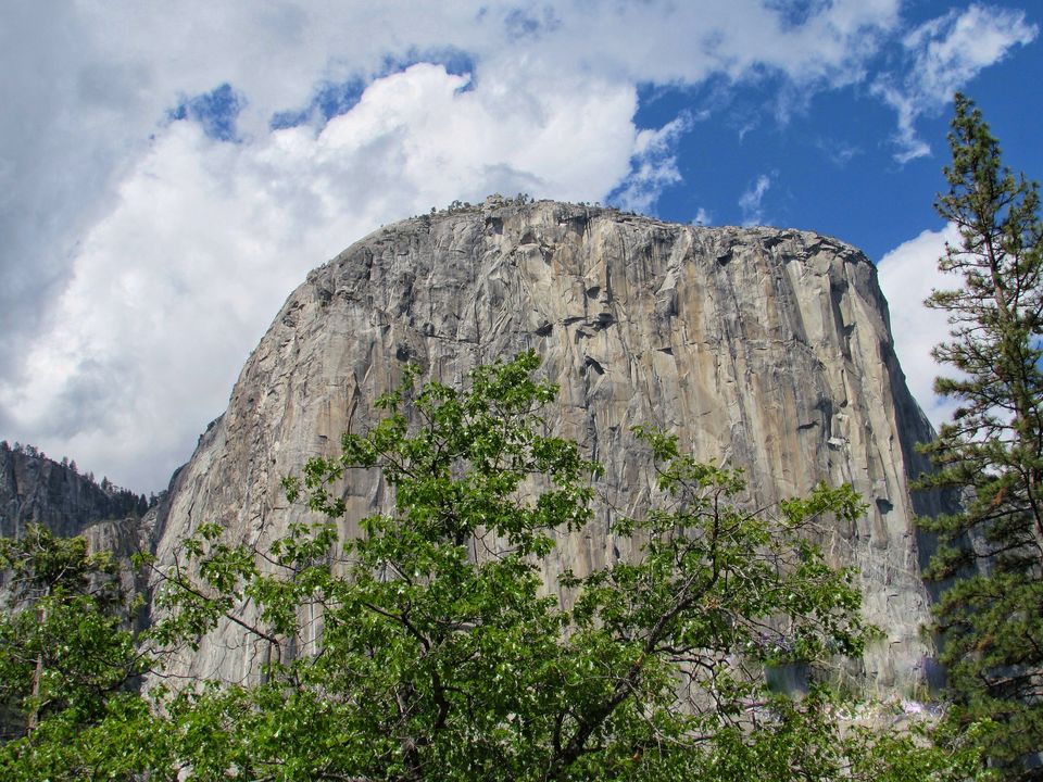 Photo of Yosemite National Park - A Haven for Nature Lovers. 7/20 by Jaishree