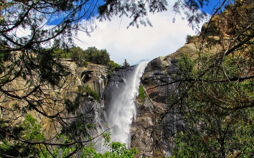 Photo of Yosemite National Park - A Haven for Nature Lovers. 8/20 by Jaishree