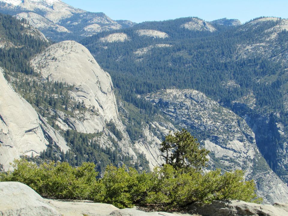 Photo of Yosemite National Park - A Haven for Nature Lovers. 11/20 by Jaishree