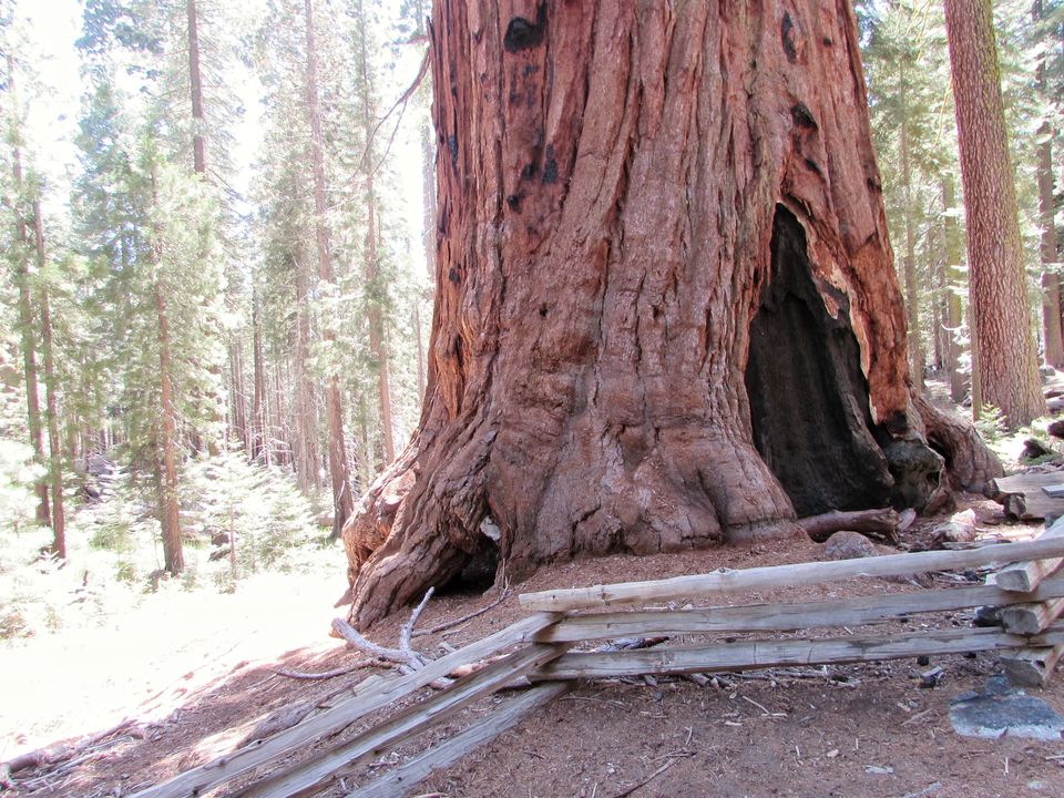 Photo of Yosemite National Park - A Haven for Nature Lovers. 17/20 by Jaishree