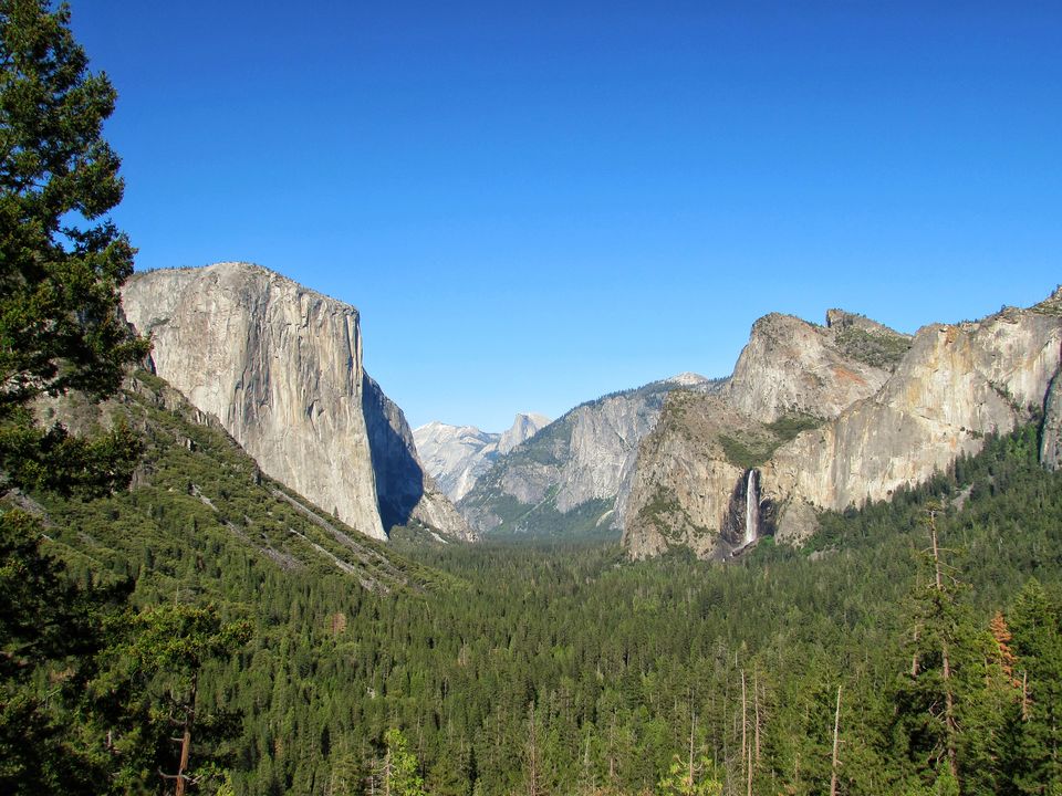 Photo of Yosemite National Park - A Haven for Nature Lovers. 20/20 by Jaishree