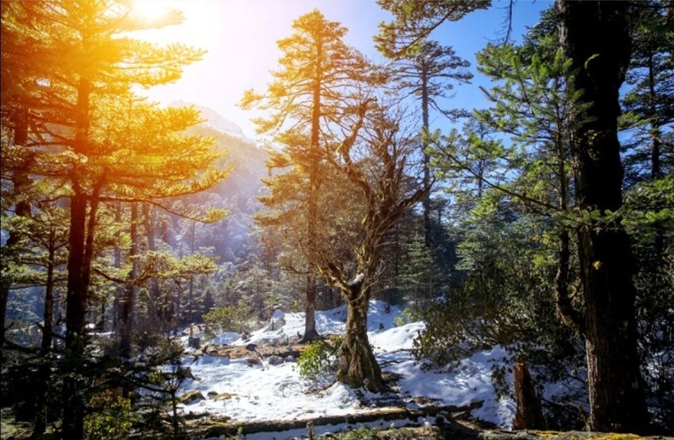 Photo of Yumthang, Sikkim, India by Unwind with Anu Brahma