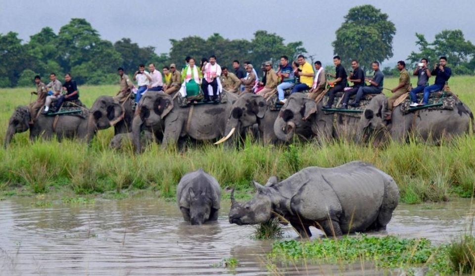 Photo of Pobitora Wildlife Sanctuary, Pabitara, Assam, India by Unwind with Anu Brahma