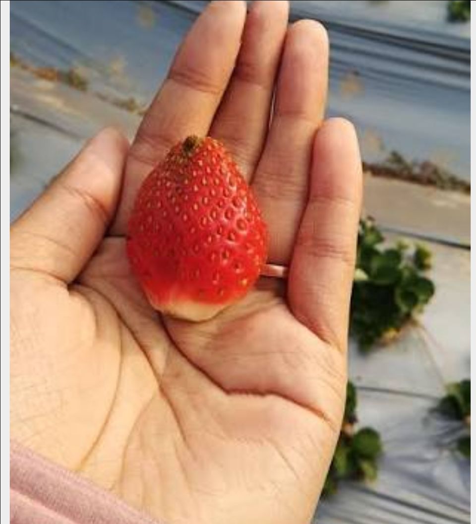 Photo of Shillong, Meghalaya, India by Unwind with Anu Brahma
