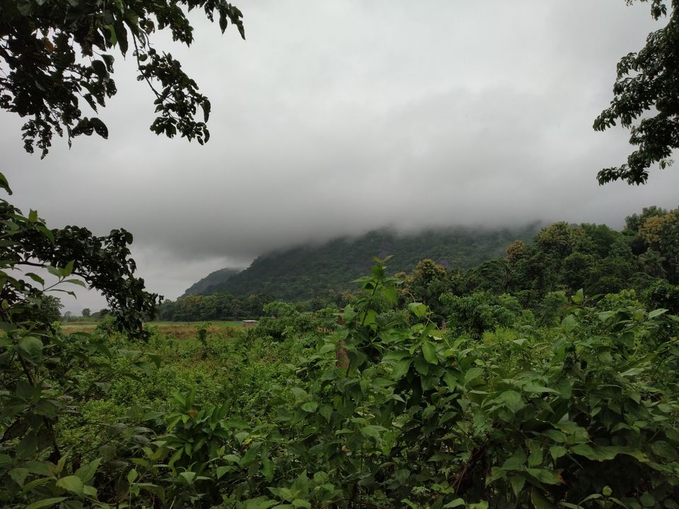 Photo of Pobitora Wildlife Sanctuary, Pabitara, Assam, India by Unwind with Anu Brahma