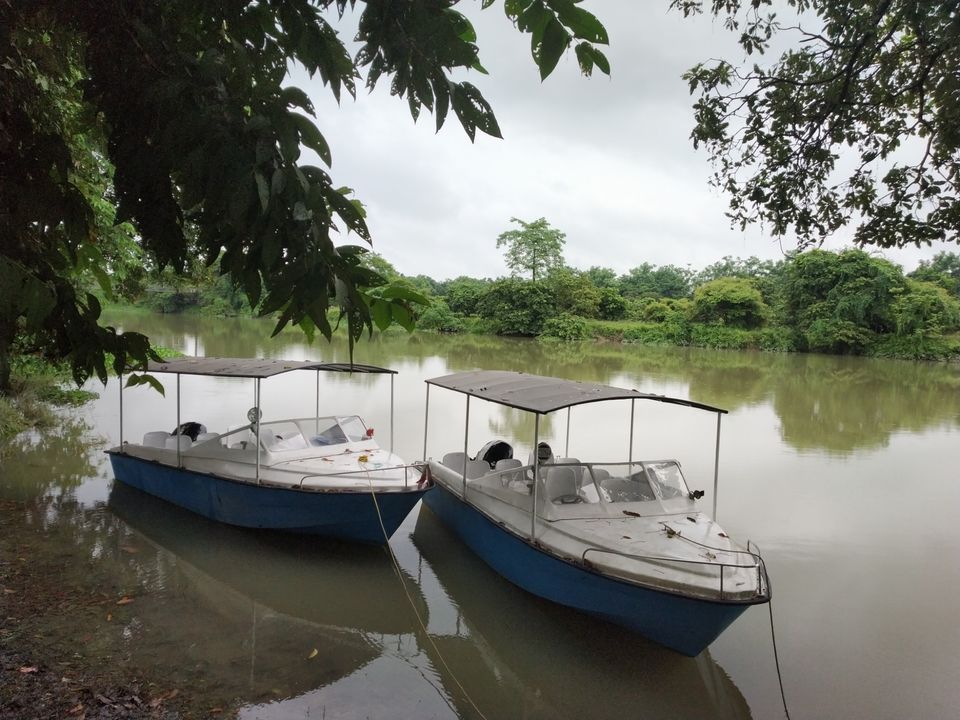 Photo of Pobitora Wildlife Sanctuary, Pabitara, Assam, India by Unwind with Anu Brahma