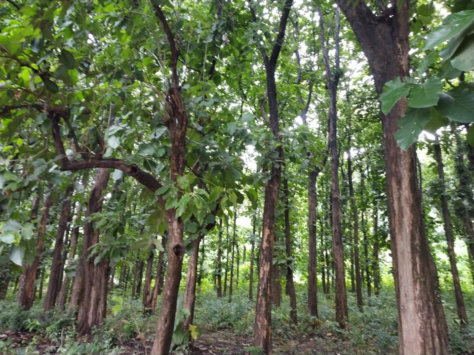 Photo of Pobitora Wildlife Sanctuary, Pabitara, Assam, India by Unwind with Anu Brahma