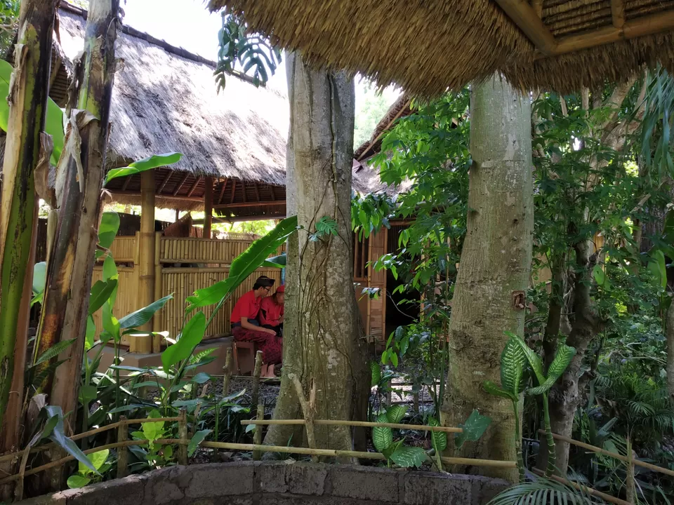 Photo of Bali another paradise on Earth! #photosabroad by Unwind with Anu Brahma