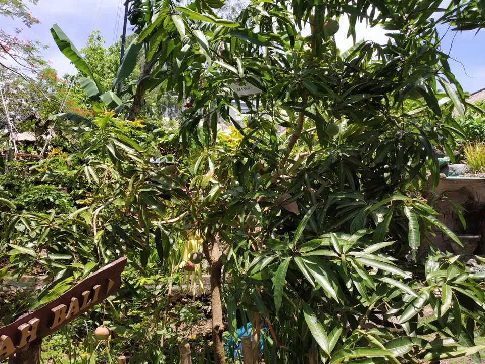 Photo of Bali another paradise on Earth! #photosabroad by Unwind with Anu Brahma