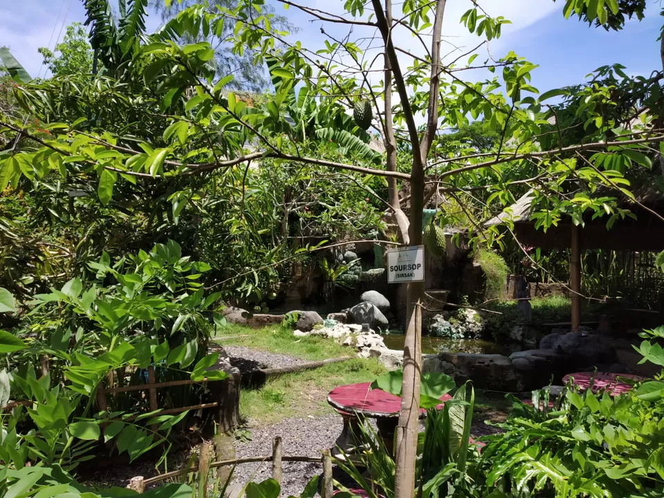 Photo of Bali another paradise on Earth! #photosabroad by Unwind with Anu Brahma