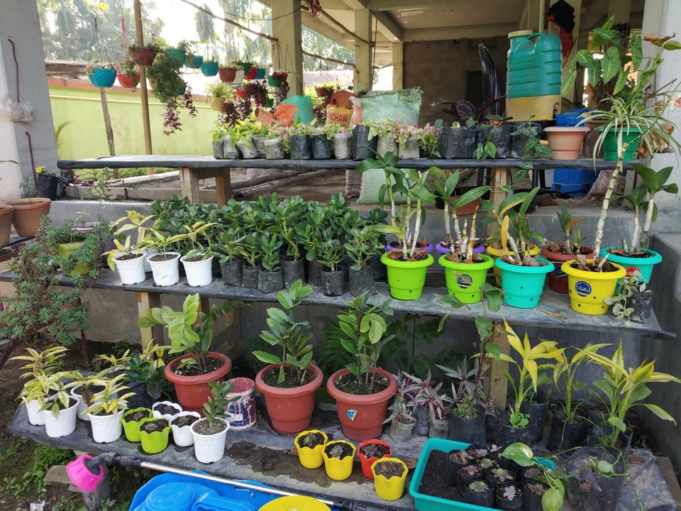 Photo of Kokrajhar, Assam, India by Unwind with Anu Brahma