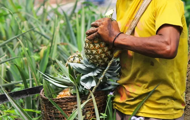 Photo of Fruits Festival that will make you travel to Northeast India! by Unwind with Anu Brahma